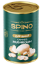 Canned Mushroom