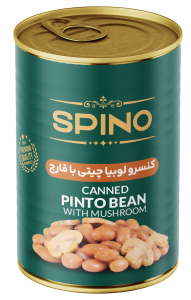 Canned Pinto Bean With Mushroom