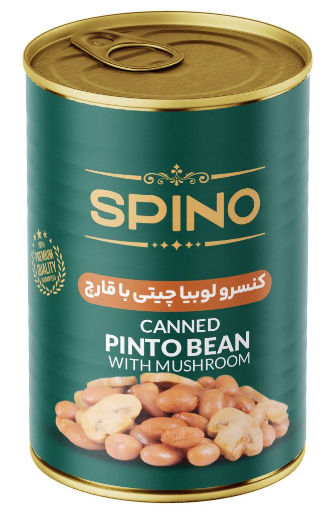 Canned Pinto Bean With Mushroom